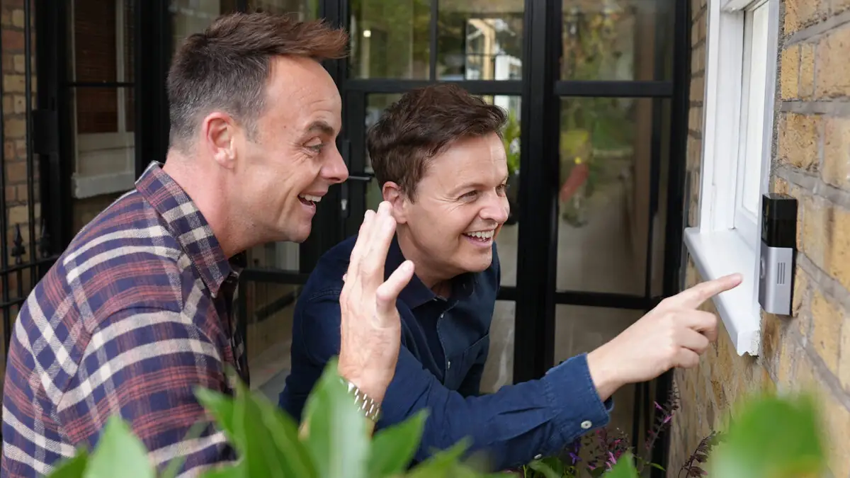 Ant & Dec: Ring